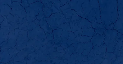 Презентация ELMA365 CX — платформы для комплексного взаимодействия с клиентом